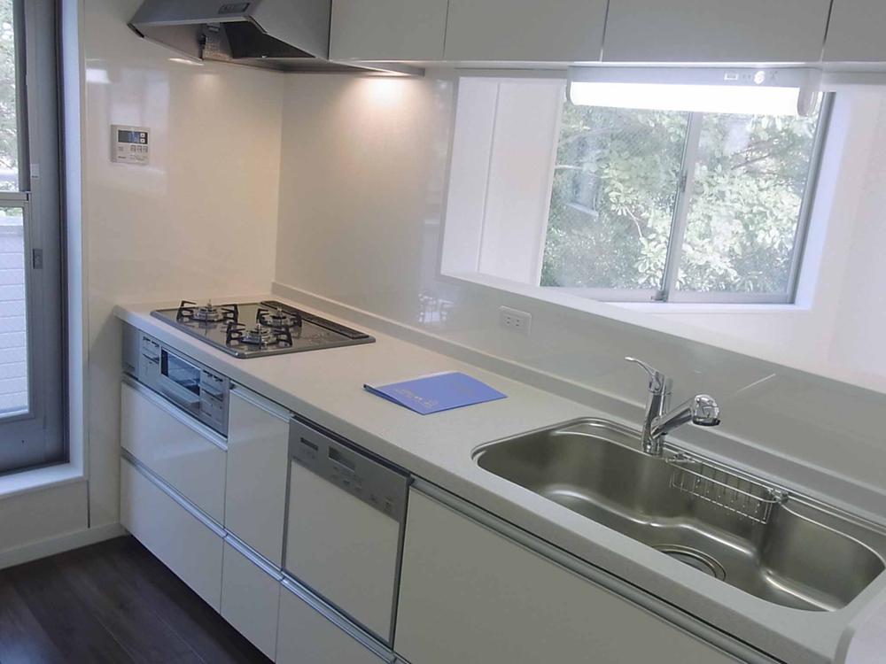 Kitchen. Indoor (11 May 2013) Shooting