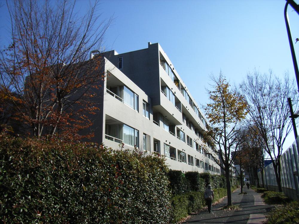 Local appearance photo. appearance