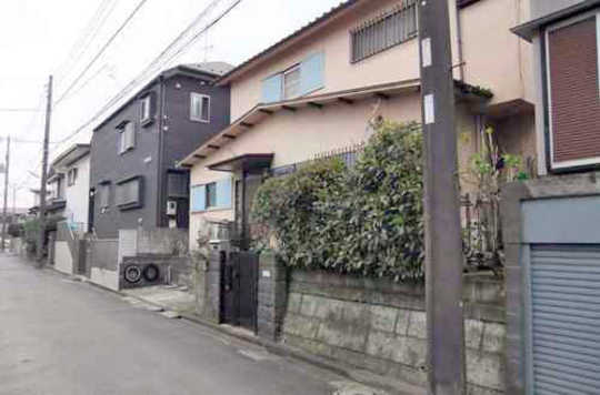 Local land photo. appearance