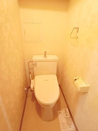 Toilet. Indoor (12 May 2013) Shooting