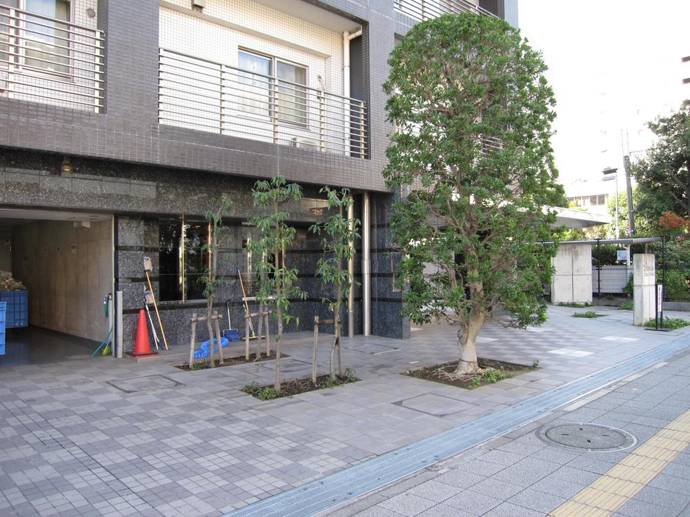Entrance. Common areas