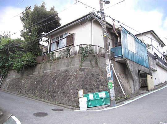 Local land photo. appearance