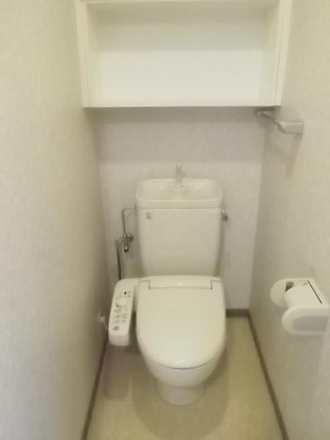 Toilet. Indoor (11 May 2013) Shooting