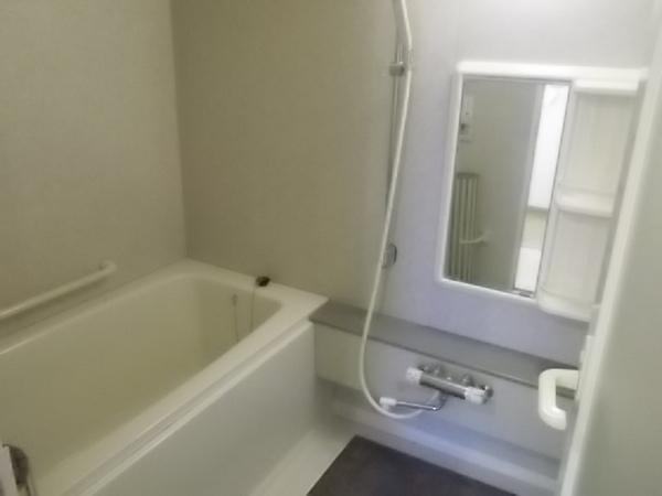Bathroom. Indoor (11 May 2013) Shooting