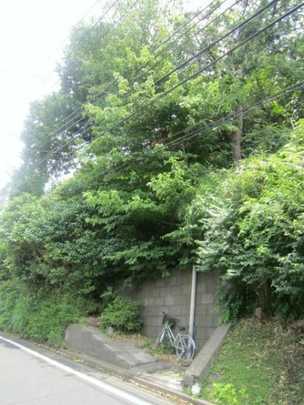 Local land photo. Local (with Furuya)