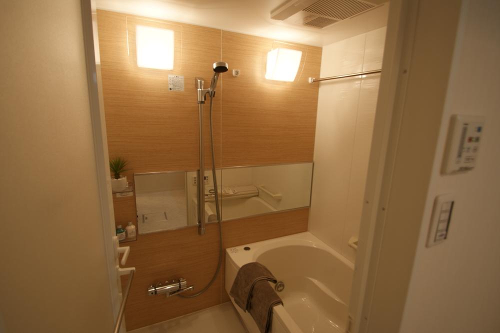 Bathroom. Local Photos