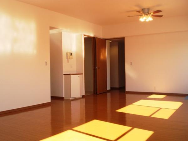 Living. Bright living room of the two-sided lighting!