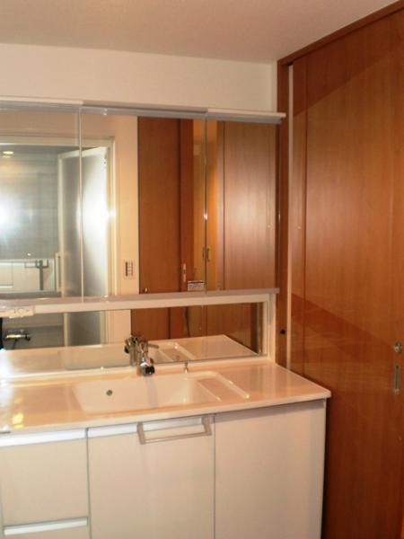 Wash basin, toilet. Wide type vanity