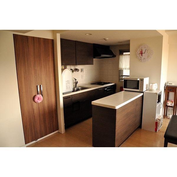 Kitchen. There housed in the kitchen aside