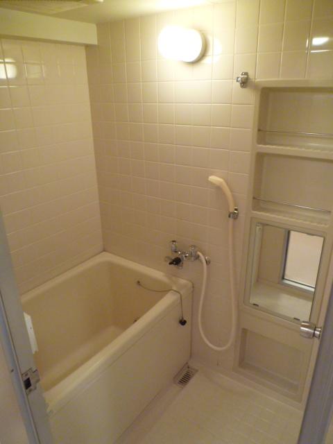 Bathroom. Indoor (12 May 2013) Shooting