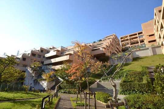 Local appearance photo. Appearance is a picture. It is the terrain of south terraced.