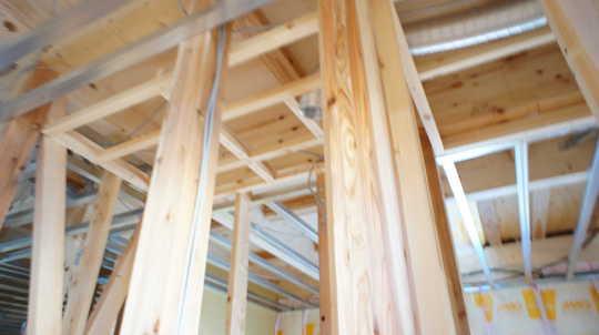 Other introspection. Local Photos