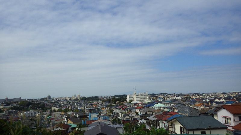 View photos from the local