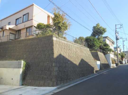 Local land photo. Appearance 1