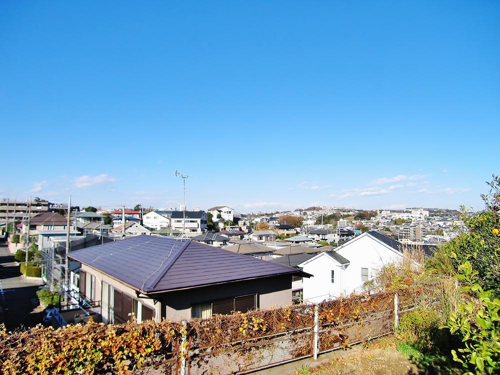 Other. View from local