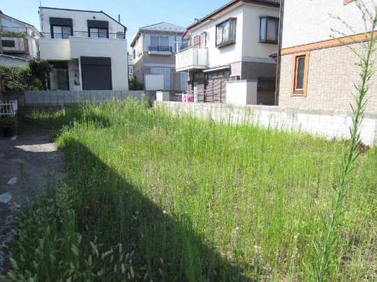 Local land photo. Local Photo 1 (2012 September shooting)