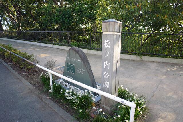 park. 100m until the first seven days of the year park