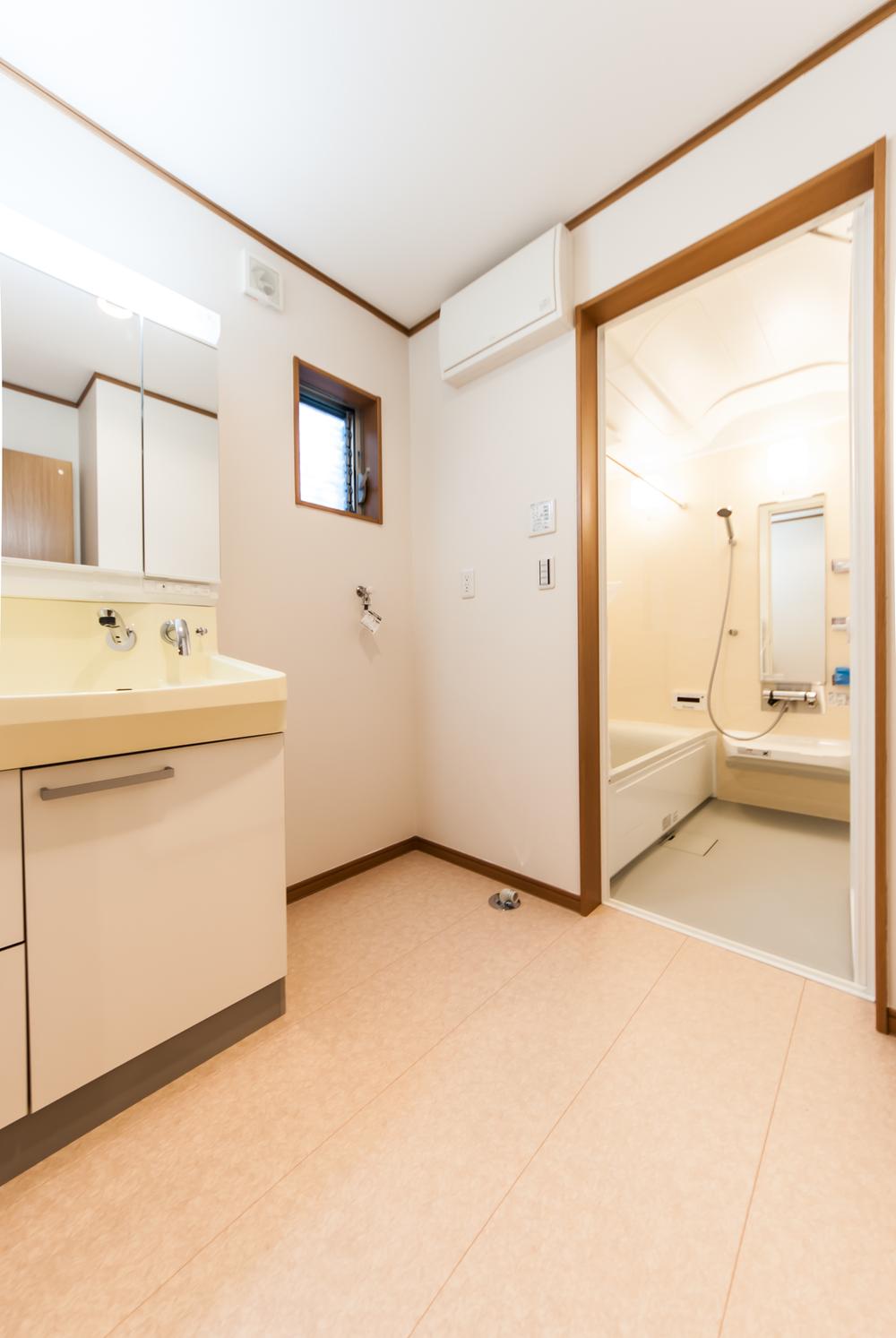 Wash basin, toilet. Cleanliness full wash room