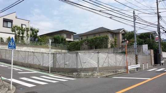 Local land photo. It is southeast corner lot.