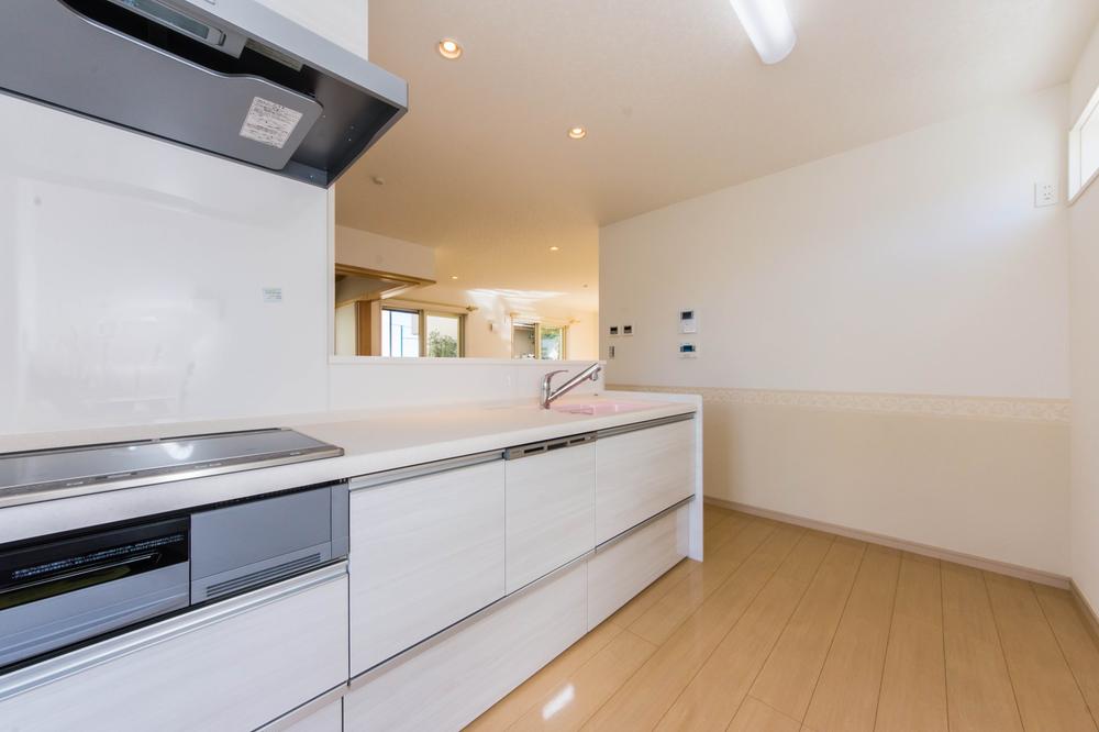 Kitchen. Face-to-face kitchen