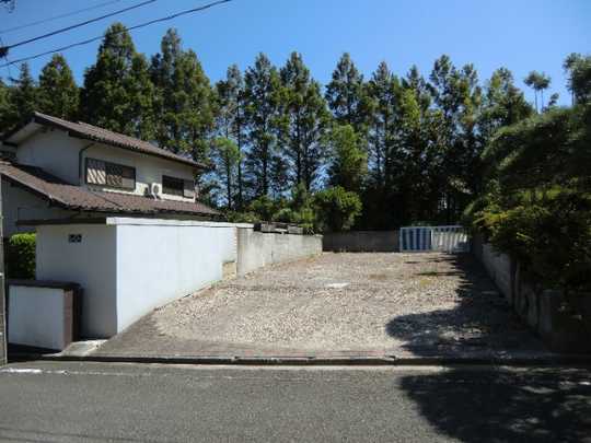 Local land photo. Appearance (1)