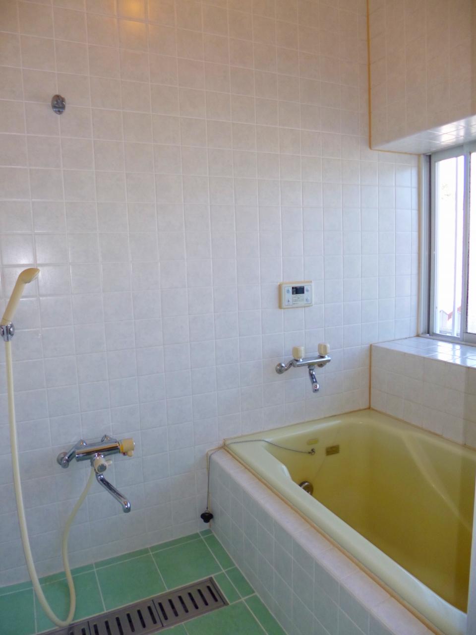 Bathroom. House cleaning implementation