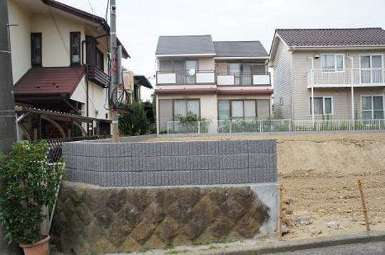 Other. Local appearance