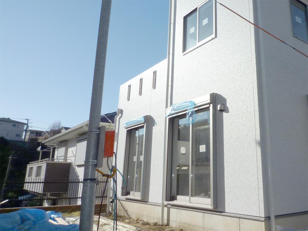 Garden. Local shooting