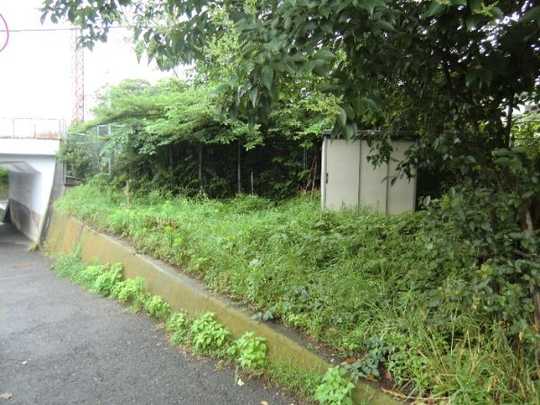 Local land photo. appearance