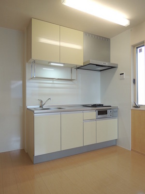 Kitchen. System kitchen