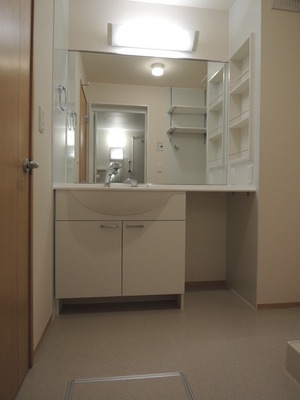 Washroom. Bathroom Vanity