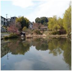 park. 714m until Tanya spotted park