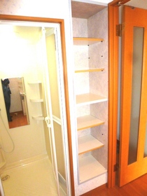 Other. bathroom shelf