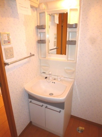 Washroom. Bathroom Vanity