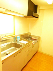 Kitchen. Counter Type of kitchen