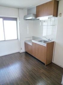 Kitchen. Convenient window with kitchen lighting