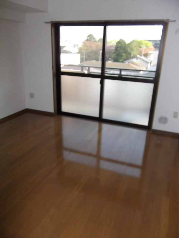 Living and room. Living