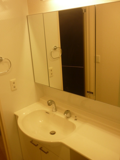 Washroom. Wide wash basin of frontage