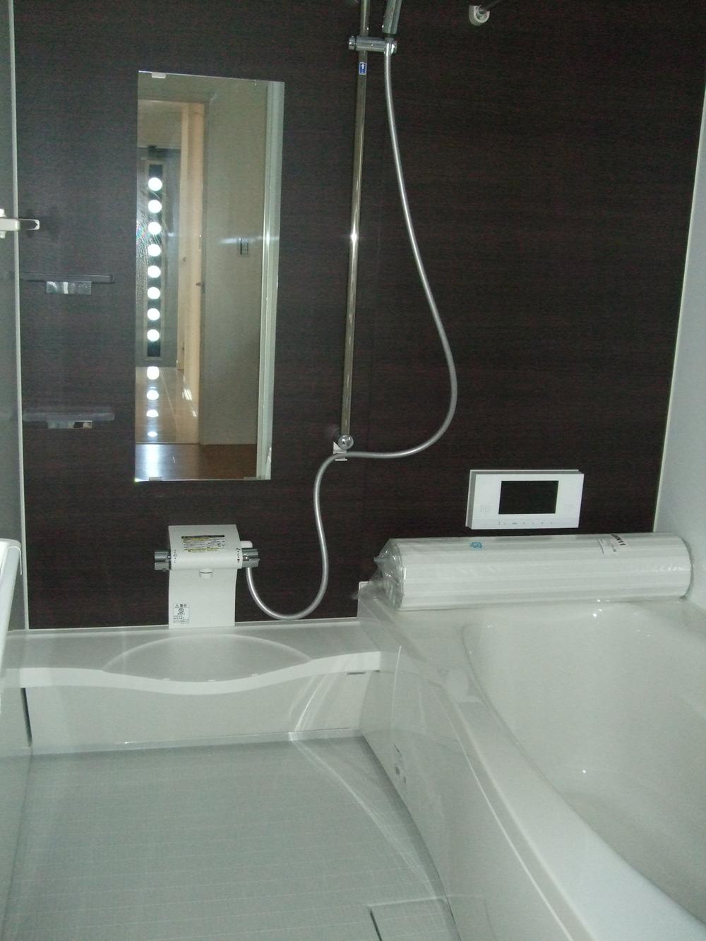 Bathroom. Indoor (10 May 2013) Shooting