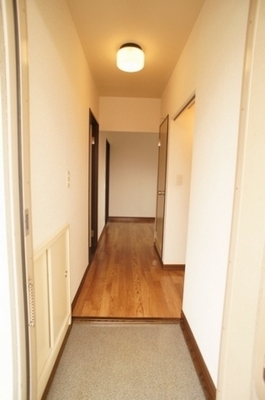 Entrance. There is a cupboard in the entrance!