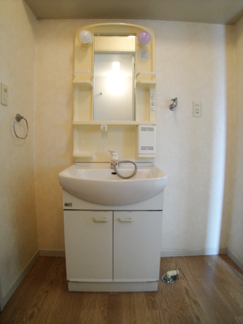 Washroom. Wash basin!