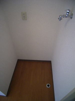 Washroom. Laundry yard, of course! ! There in the room