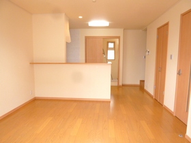 Living and room. LDK