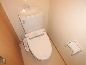 Toilet. Warm water washing toilet seat