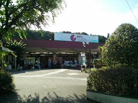 Supermarket. Sotetsu until Rosen (super) 430m