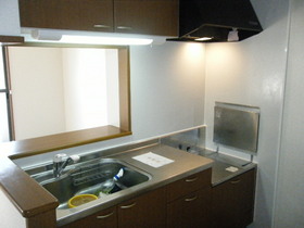 Kitchen. Face-to-face counter kitchen