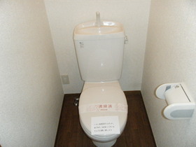 Toilet. Toilet