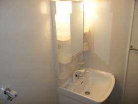 Washroom. Bathroom Vanity