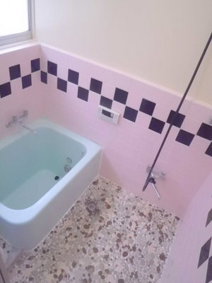 Bath. Let's heal the fatigue of the day in the bath of bathroom add-fired with function