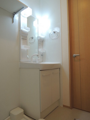 Washroom. Bathroom Vanity